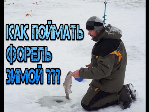 Видео: На что ловить форель зимой. Пособие для начинающих