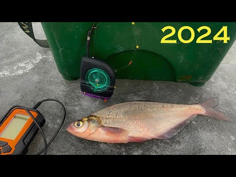 Видео: РЫБАЛКА 2024 февраль, ГИРЛЯНДА, СИНЕЦ, ГУСТЕРА в ГЛУХОЗИМЬЕ! Припять,Беларусь!