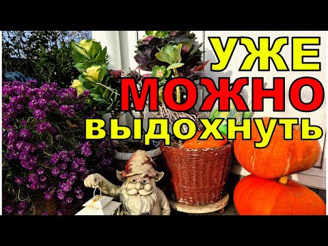 Видео: Садовый Влог. Гвоздь в одном месте еще не дает отдыхать. Когда же сделать выдох?