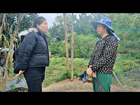 Видео: Г-жа Хань решила взять сына с собой, когда г-на Хыонга не было дома.