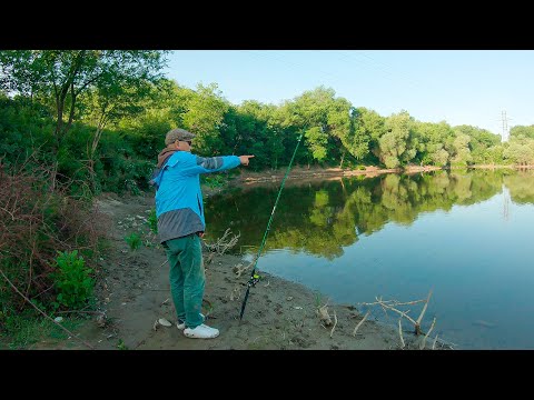 Видео: РЫБАЛКА АЛМАТЫ/ ОПЯТЬ САЗАНЫ атакуют СНАСТИ/ озеро пархач