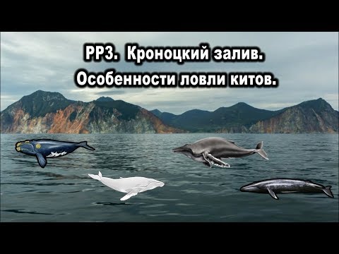 Видео: Русская рыбалка 3. Прокачка на Кроноцком заливе. Особенности ловли китов.