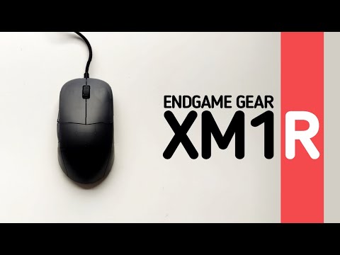 Видео: Обзор EndGame Gear XM1R. Лучшая проводная мышь?
