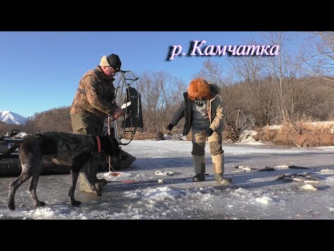 Видео: Рыбалка на протоках р. Камчатка , часть 1