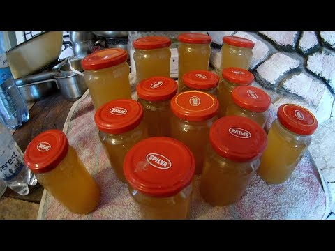 Видео: СОК И СИРОП из груши на зиму ДЕГУСТАЦИЯ с газировкой