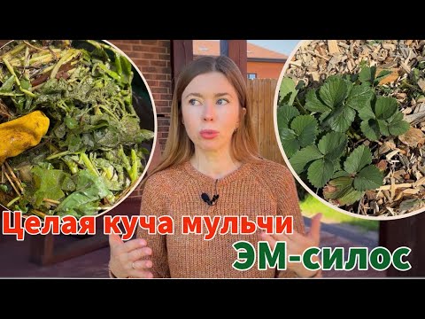 Видео: Весенние работы БЕЗ ПРОПОЛКИ, ПЕРЕКОПКИ и сорняков. Супер-удобрение по Бублику. ГДЕ ВЗЯТЬ МУЛЬЧУ