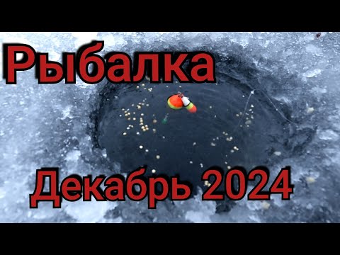 Видео: Рыбалка на поплавок 18 декабря 2024 г. на речке!В ЭТОЙ ЛУНКЕ СОБРАЛАСЬ ВСЯ РЫБА!КИВОК ГНЁТ КО ДНУ.