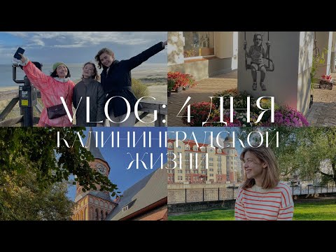 Видео: VLOG: КАЛИНИНГРАД ЗА 4 ДНЯ. Балтийское море, Светлогорск, Зеленоградск и котики 🐈