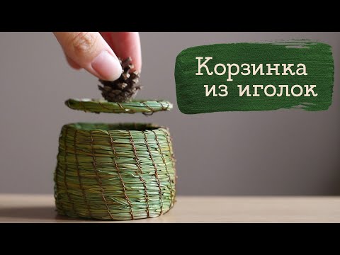 Видео: Пробую плетение из сосновой хвои | Masherisha