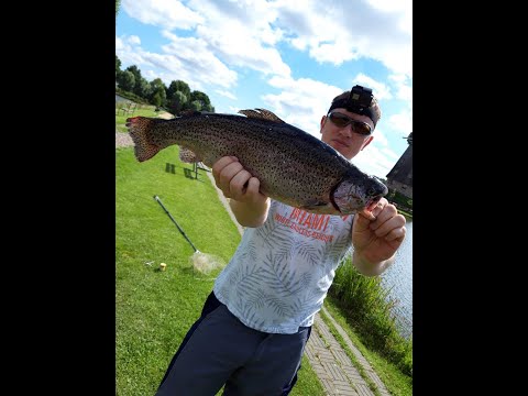 Видео: Ловля форели в Голландии! За форелью. Forellenangeln in Holland. Trout Area.