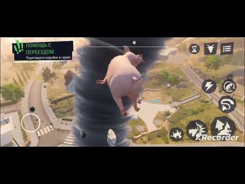 Видео: Козёл устроил ураган и стал президентом 