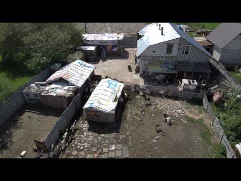 Видео: Козиная ферма, с. Грузское