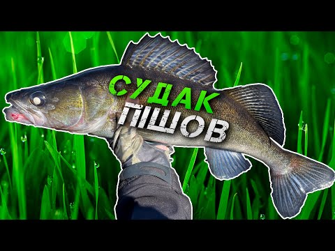 Видео: ✅ГАРНИЙ СУДАК ПІШОВ! ЛОВЛЯ СУДАКА НА ДНІПРІ✅