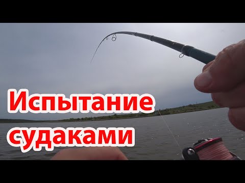 Видео: Рыбалка на платнике ловля судака на спиннинг Crazy Fish Versus