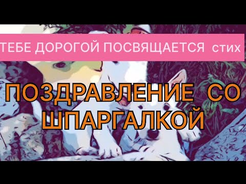 Видео: АРТЁМ СВЕТА ЧЕРНЕГИ ТАЙНЫЙ ПОСЫЛ ПОЗДРАВЛЕНИЯ #СамвелАдамян #saveliyad #ГрандеНико#ЧернегаСветаАртём