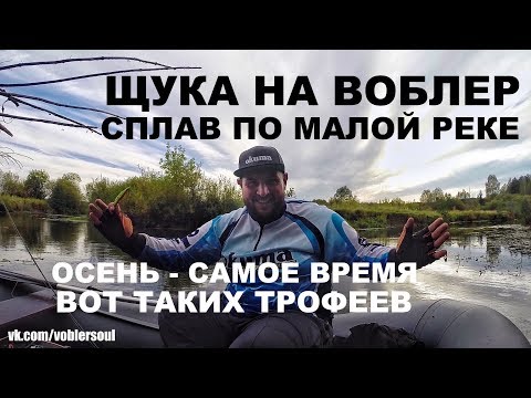 Видео: Ловля щуки. Рыбалка на малой реке. Твичинг воблеров. Сплав. Осень 2017.