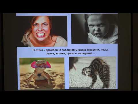 Видео: Дубынин В. А. - Физиология потребностей - 8. Агрессия