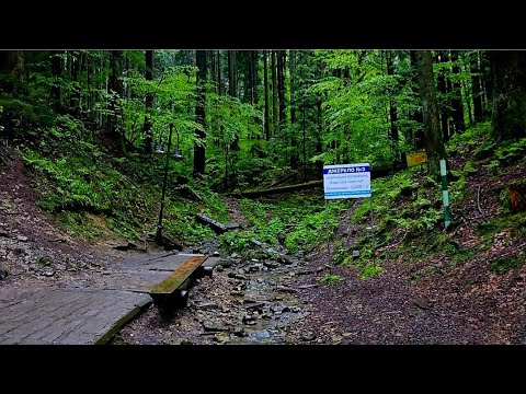 Видео: 29.05.25 Східниця під дощем ☔️ Прогулянка в краплях