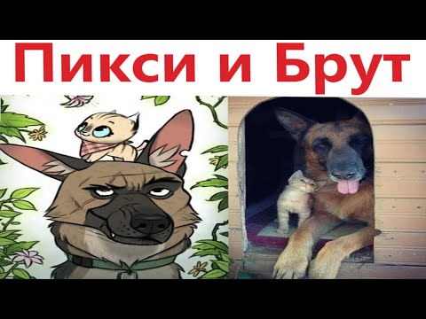 Видео: Комиксы - ПИКСИ И БРУТ 1 серия! Озвучка Доми шоу!