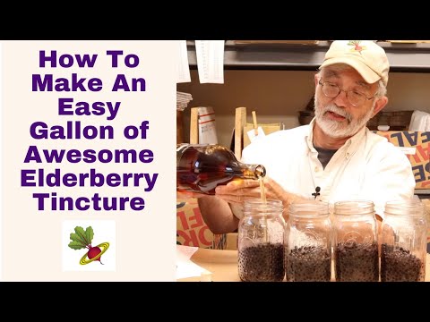 Видео: Легко приготовить настойку из бузины... Галлонами