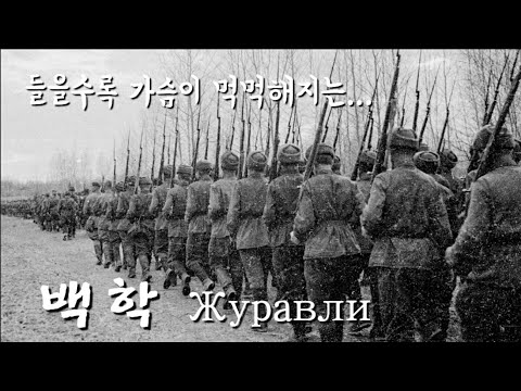 Видео: 겨울이 되면 생각나는 한국인이 좋아하는 러시아 노래 "백학"/Журавли(한국어 번역 포함) singer Dmitry Hvorostovsky