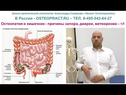 Видео: Остеопатия и кишечник - причины запора, диареи, метеоризма – ч.1