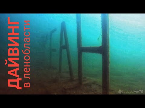 Видео: Дайвинг в Ленинградской области. Солнечное озеро Блесна