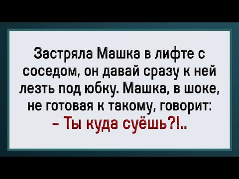 Видео: Что Сосед с Машкой Вытворял! Сборник Свежих Анекдотов! Юмор!
