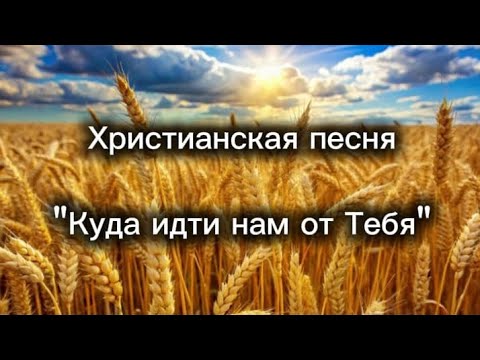Видео: 17 сентября 2025 г.