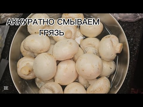 Видео: ШАМПИНЬОНЫ НА ЗИМУ 🍄‍🟫