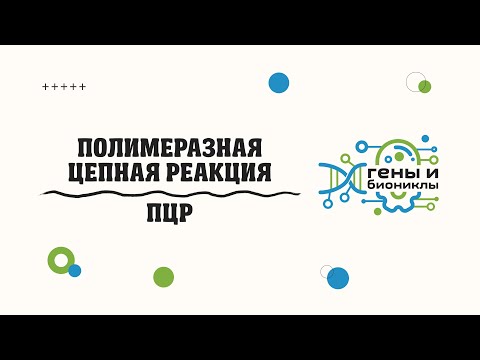 Видео: Полимеразная цепная реакция (ПЦР) — обзор метода