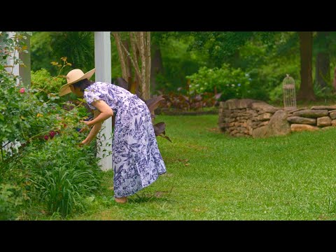 Видео: Добро пожаловать в Ghibli Lifestyle / Нежный майский сад🌿 Свежий лимонный зефир