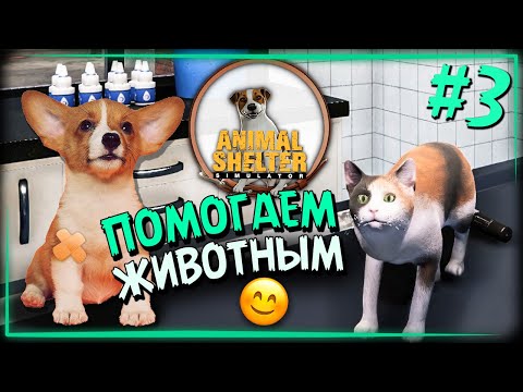 Видео: РАСШИРЯЮ ПРИЮТ и ВЫХОЖУ НА 2 МЕСТО В РЕЙТИНГЕ! 🐾 Animal Shelter Прохождение ► СТРИМ #3