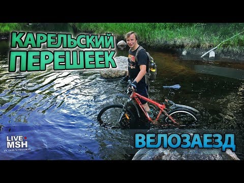 Видео: На велике по лесам, болотам и пескам Карельского перешейка.