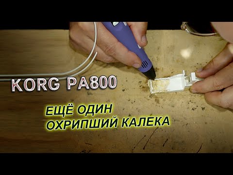 Видео: Korg PA800. Ещё один охрипший калека