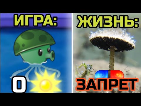 Видео: РАСТЕНИЯ Plants vs Zombies по СЛОЖНОСТИ ДОБЫЧИ В РЕАЛЬНОЙ ЖИЗНЕ