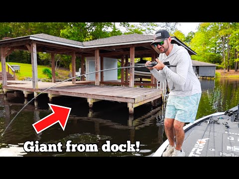 Видео: ЭПИЧЕСКИЙ TOPWATER и ЗАХВАТЫВАЮЩИЙ экшн!! (Осенний обзор)