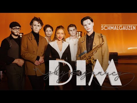 Видео: #Д33 - ВИПУСК 10 | SCHMALGAUZEN «ДІМ ЗВУКОЗАПИСУ» З ТІНОЮ КАРОЛЬ