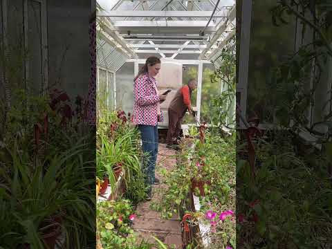 Видео: Пользы БУДЕТ БОЛЬШЕ #дачныйагроном #плодовыедеревья #сад #рекомендуем