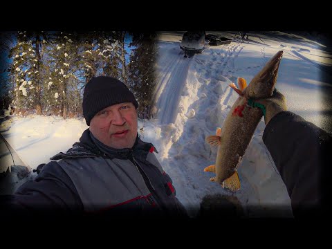 Видео: попалась хорошая щука загара нет