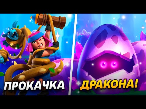 Видео: 4000 КУБКОВ,  НАГРАДЫ, ПРОКАЧКА И ДОНАТ!😱 ПУТЬ ДРАКОНЧИКА