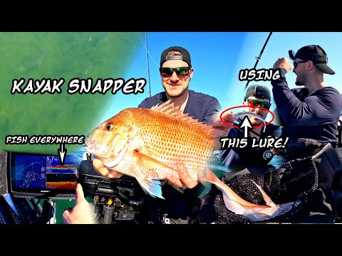 Видео: Рыбалка на каяке со снапперами — только на приманки!