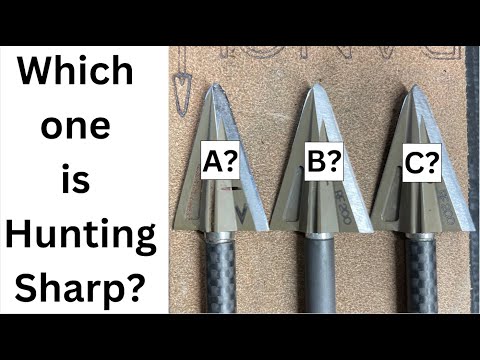 Видео: Острота наконечника стрелы для охоты с луком