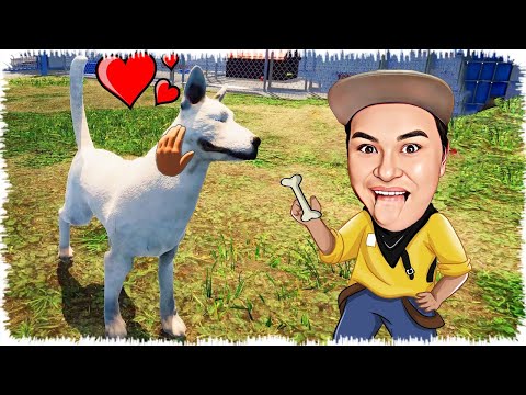 Видео: Ит бағушы Алик жаңа бизнес ашты | Ит сатамын!