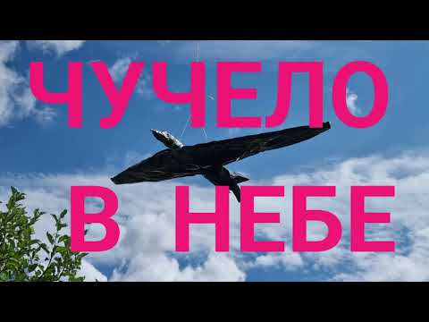 Видео: ЧУЧЕЛО В НЕБЕ.