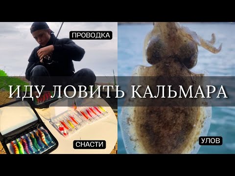 Видео: Как поймать кальмара и каракатицу? 🐙 Распаковка снастей и как выбрать проводку для ловли кальмара