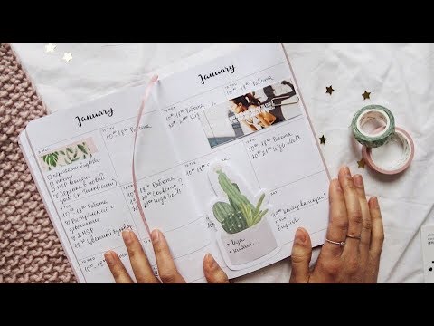 Видео: Как я веду ежедневник |  My Special Planner