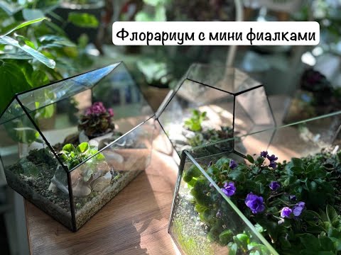 Видео: 24 июня 2024 г.