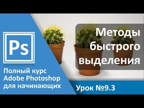 Видео: Урок 9.3 - Выделение. Быстрое выделение. Цветовой диапазон | Graphic Hack