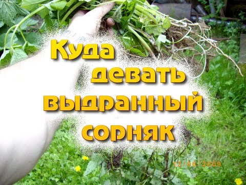 Видео: Куда девать выдранный сорняк